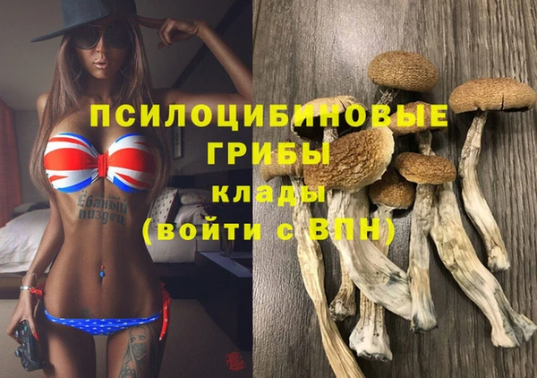 хмурый Братск
